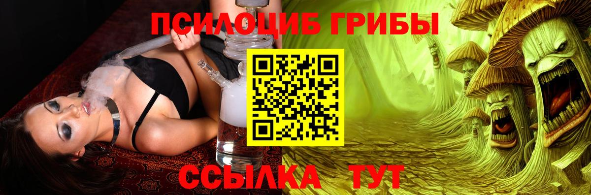 Псилоцибиновые грибы Cubensis Касимов